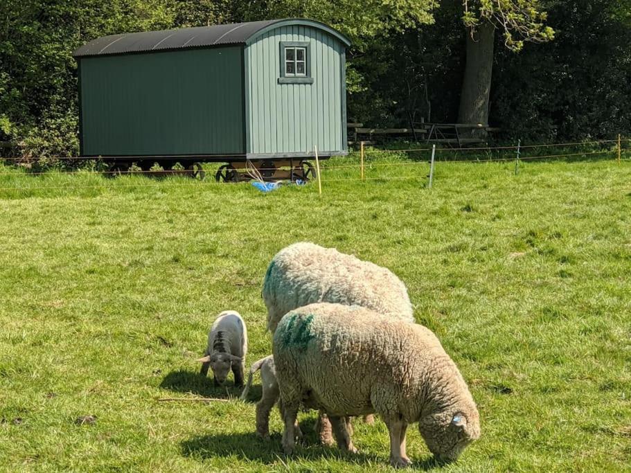 The Piggery Villa Cowfold Dış mekan fotoğraf